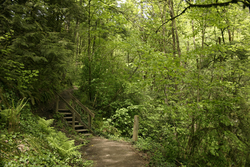 marquam nature park